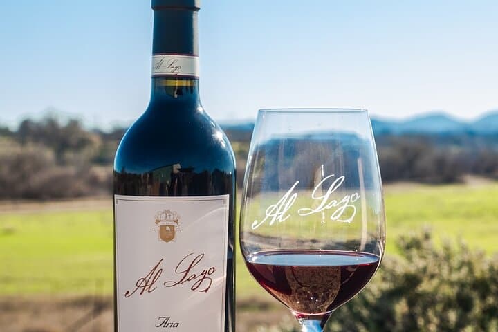 טעימת יינות פאסו רובלס אריה (דומיננטי סירה)