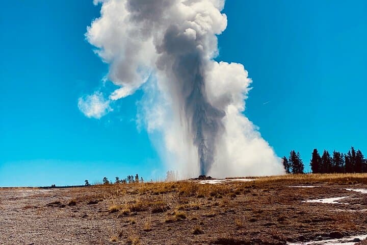 סיור פרטי בלולאת התחתונה של הפארק הלאומי ילוסטון