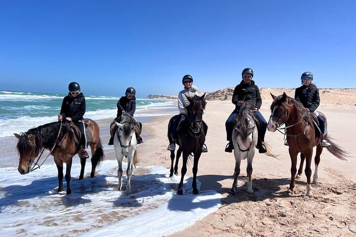 חוויה רכיבת סוסים בדחלה