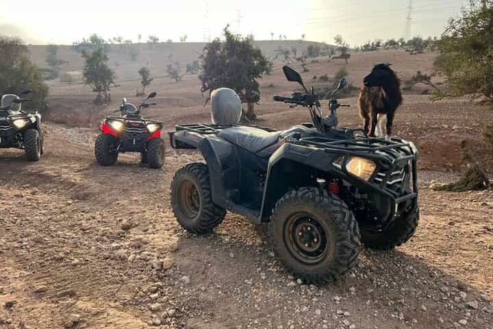 Quad Agadir: Desert Safari & Berber Mint Tea Tour