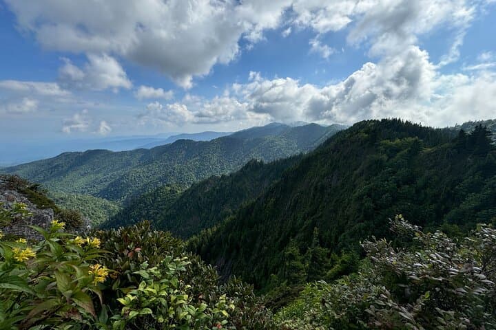 סבב פרטי מותאם אישית בטבעות הסמוקי