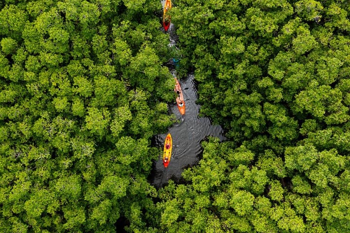 סוקוהו אקו חצי יום - קיאק במנגרובים ושנורקלינג בשוניות