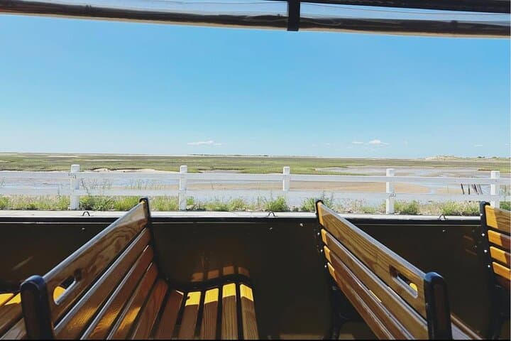 סיור טרולי מאייפלואר!