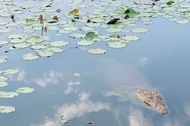 סיור פרטי בבזיליקת גבירתנו של שלום יאמוסוקרו