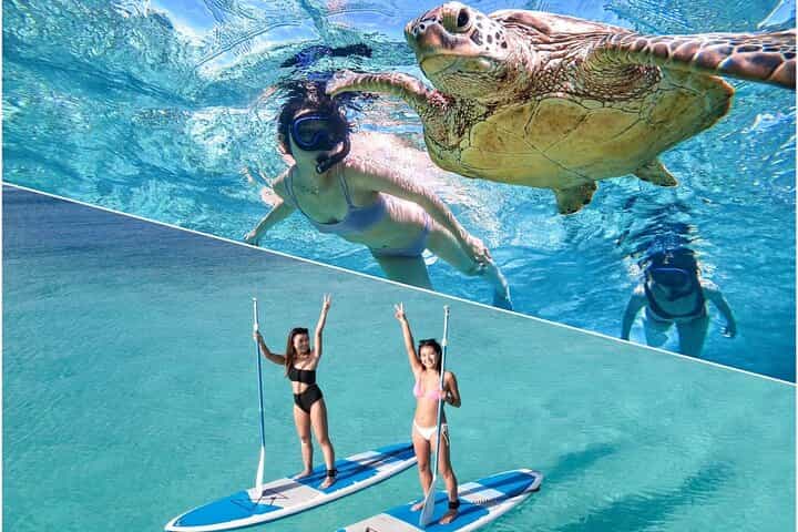 שתי פעילויות במיאקו בחצי יום סאפ ושנורקלינג עם צבי ים