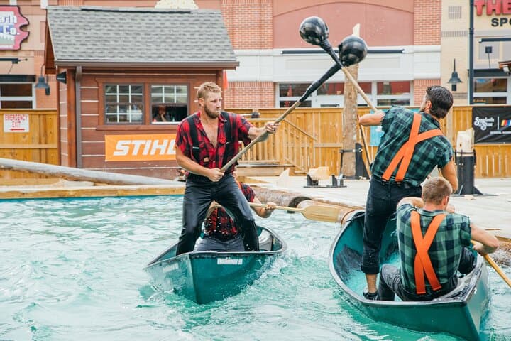 ההצגה "סופר של סכסוך הלumberjack של פאולה דין - הכל מה שאפשר לאכול"