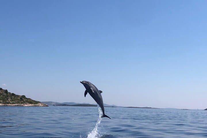 Zadar: Island Luxury Speedboat Tour with Snorkeling