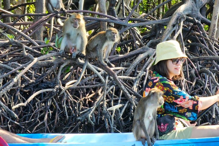 חצי יום מנגרוב בקיאקים או בסירת דיג ארוכה מקו לנטה