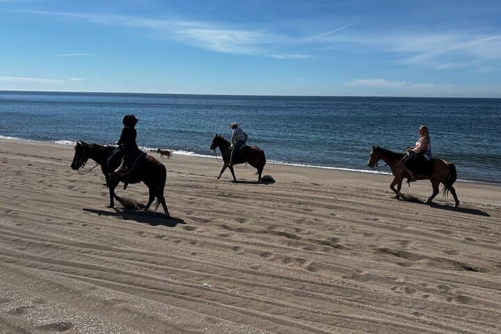 רכיבת סוסים ושילוב טמזקל עם ארוחת צהריים וסיור מזקל