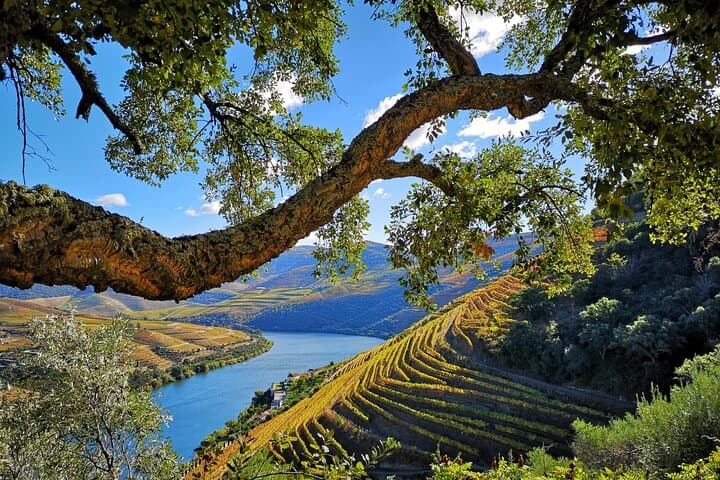 סיור של 3 שעות לגילוי פנייה - רגע הגילוי