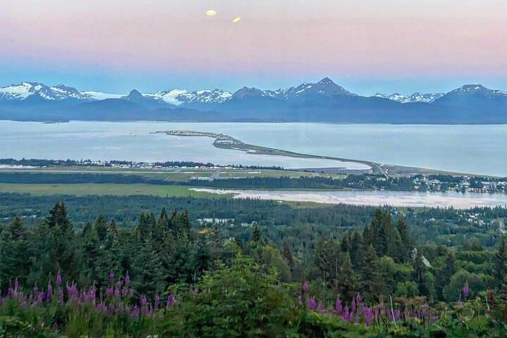 Port Homer Day Tour Wilderness, Wildlife and Beach Experience