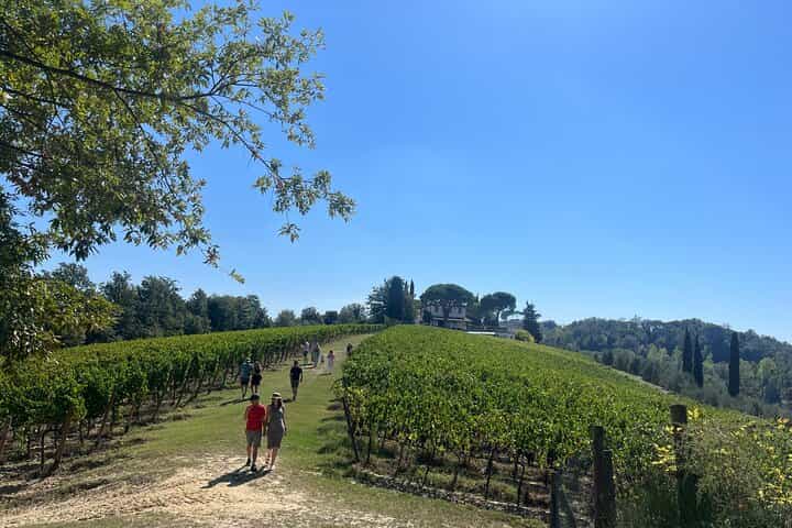 חוויה מחווה לשולחן על נחלה אורגנית על הר בטוסקנה