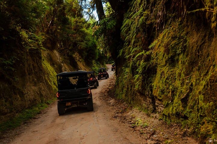 סיור צד לצד - סטה סידאדס מחוף הצפון (חצי יום)