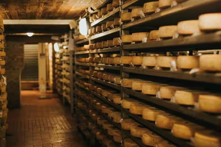 Cheese Experience: Tour & Tasting at Guffanti near Lake Maggiore