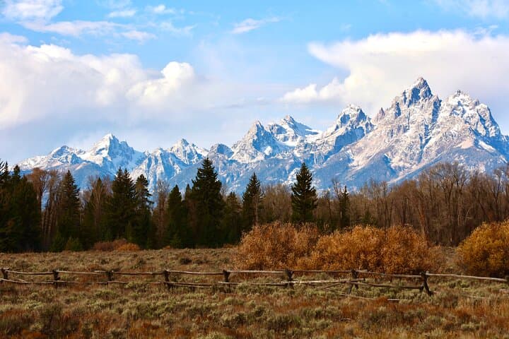 Yellowstone Full Day Tours