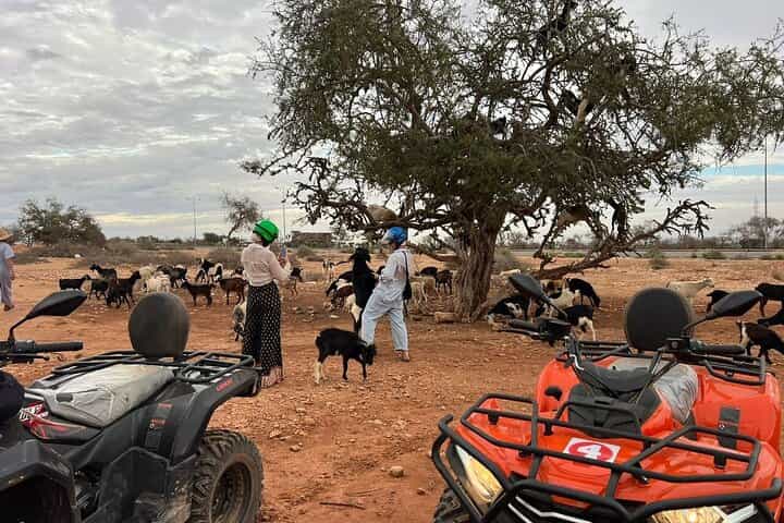 Quad Agadir: Desert Safari & Berber Mint Tea Tour