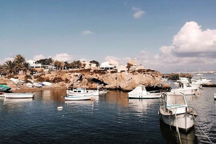 From Torrevieja to Tabarca, Santa Pola and entrance to the Pink Lagoon