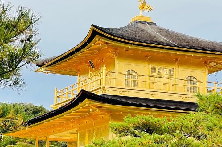 Kyoto highlights tour with English speaking guide and vehicle
