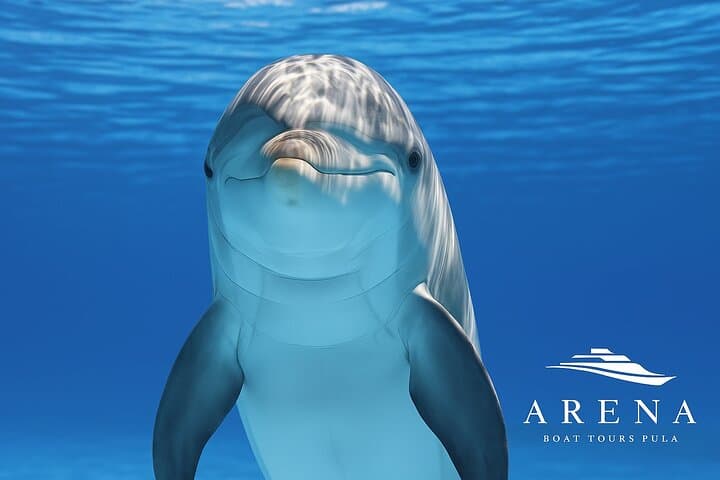 סיור דולפינים ושקיעה מפלאים עם ארוחת ערב (פוליה - פארק בריוני הלאומי)