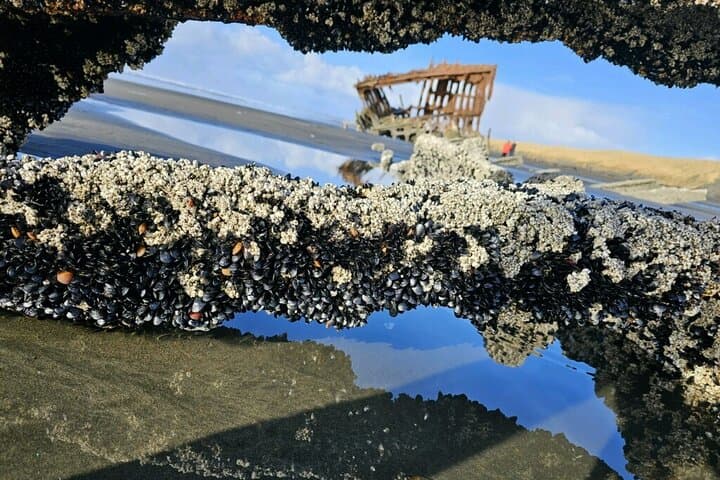 Full-Day Tour: 4 Coastal Towns + Haystack Rock & Chowder