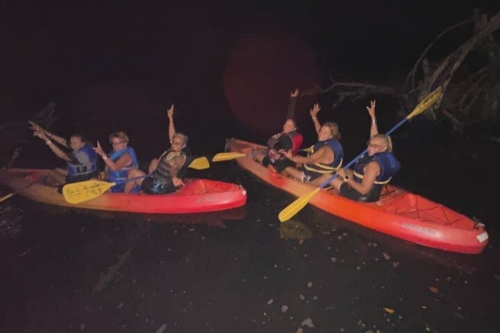 CLEAR BOTTOM KAYAKS Tour in Bioluminescent, Mosquito Bay