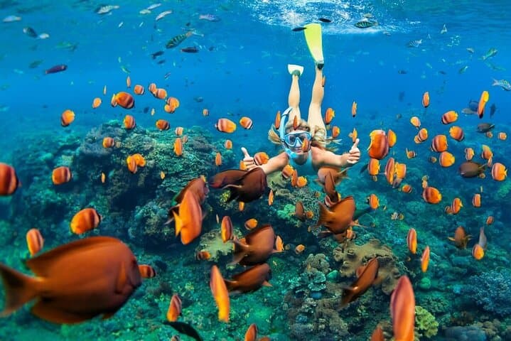 Bali Blue Lagoon Snorkeling with Private Transfer & Lunch