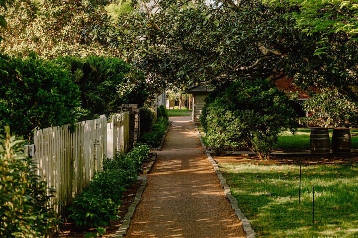 סיור מודרך באחוזת בל מיד עם טעימת יין חינם