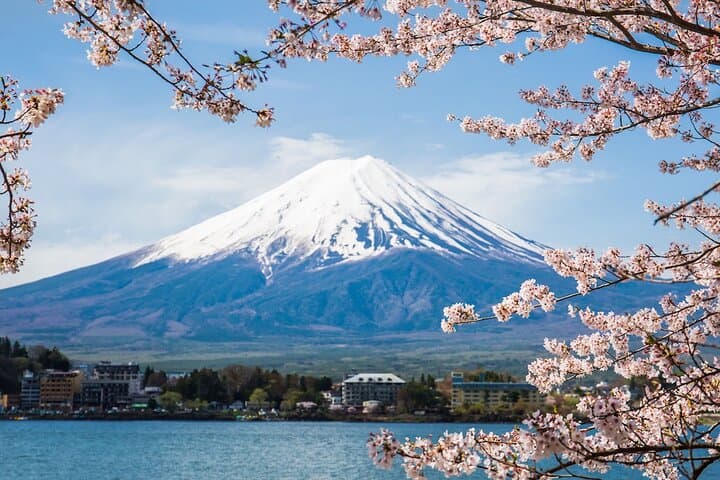Mount Fuji Private Tour With English Guide Fully Customizable