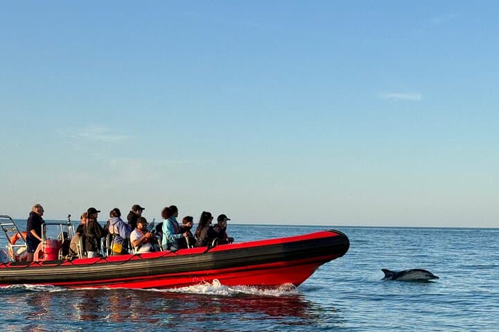 טיול ריב לרצועת החוף של טורקי