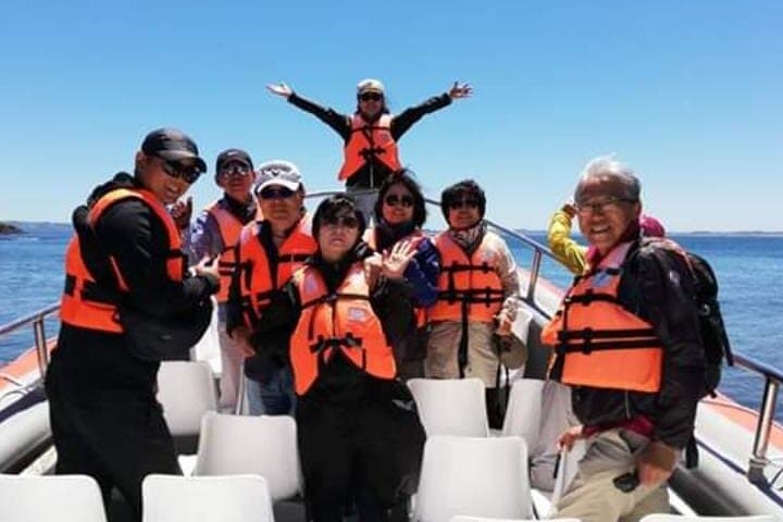 אי צ'ילואה - סיור פוניוהיל