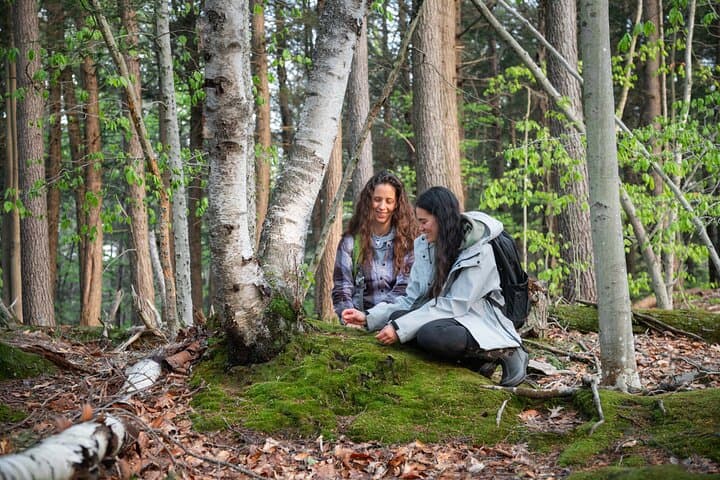 Mindful Forest Escape: Rebalance, reflect and connect