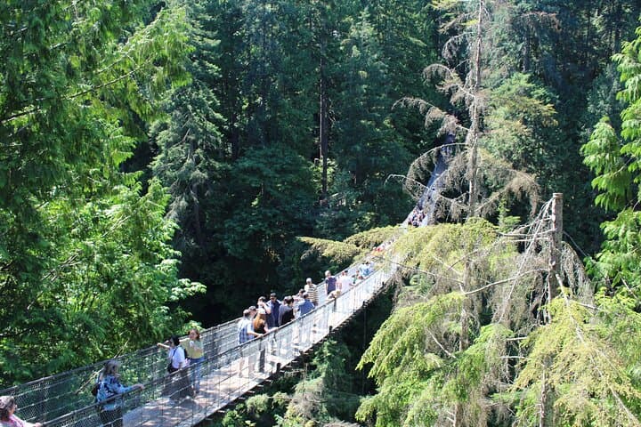Grouse Mountain & Capilano Bridge Tour with Fish Hatchery