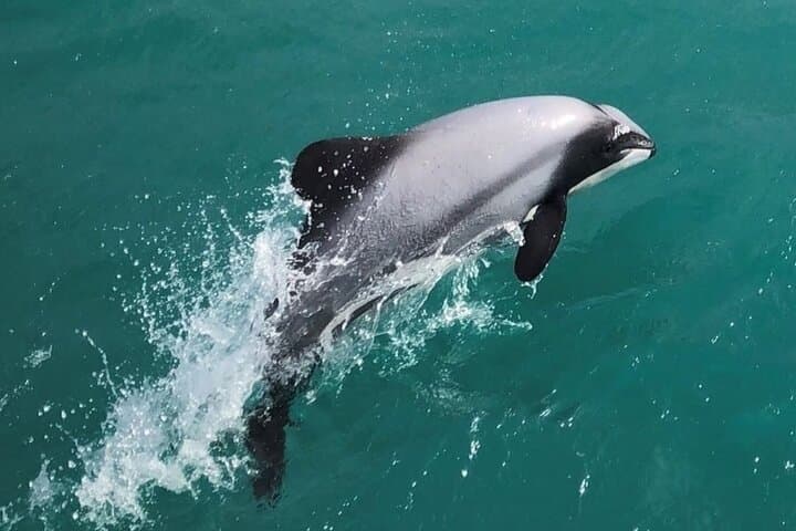 שיט טבע בנמל אקארואה