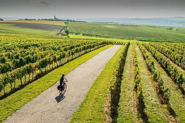 Moravian E-Bike & Wine Private Day Trip From Brno