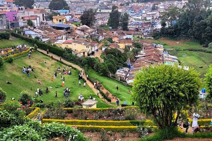 Coimbatore to Ooty Day Trip - Explore A Perfect Hill Station