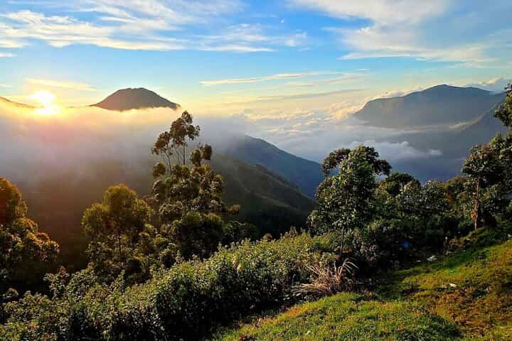 Coimbatore to Ooty Day Trip - Explore A Perfect Hill Station