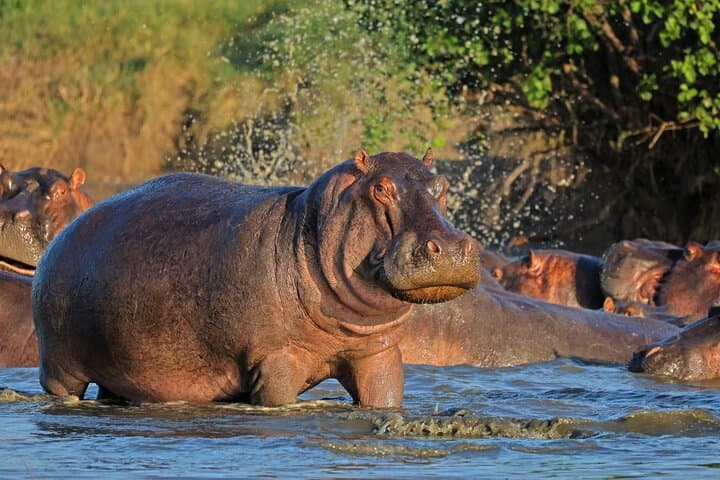 2 ימים פארק לאומי רוחה