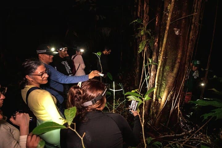 Leticia Safari 2 Days and 1 Night of Jungle and River in Floating House