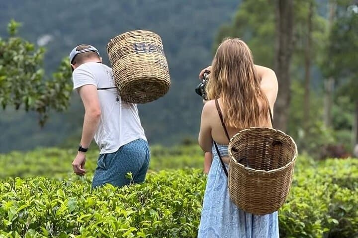 Tuk Tuk Nuwara Eliya Adventure Tours