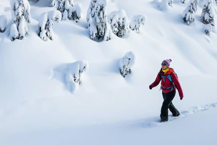 Abisko Daytime Photo Hike Snowshoe Adventure Tour