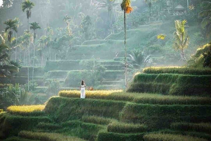 Ubud All-Inclusive and Private Guided Tour