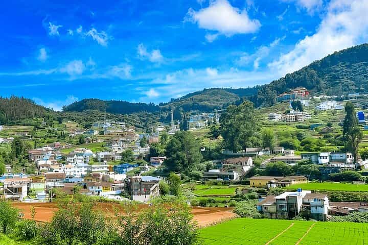 Coimbatore to Ooty Day Trip - Explore A Perfect Hill Station