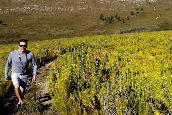 Cape Town: Full-Day Winelands Tour with Wine Tastings