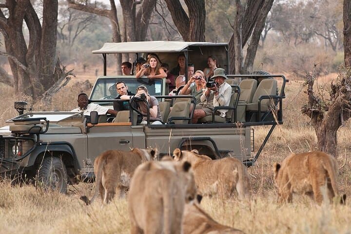 Chobe Full Day Trip from Victoria Falls