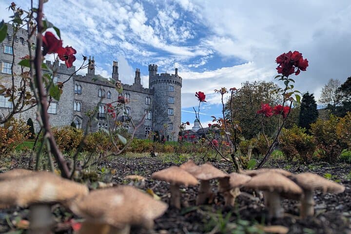 סיור הליכה פרטי בקילקני. אנגלית, צרפתית או גרמנית.