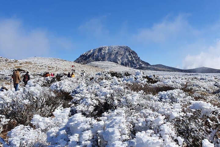 Jeju WEST&SOUTH One Day Tour with MT.halla & Aewol