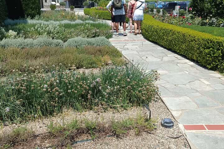 Ktima Gerovassiliou Wine Tour & Museum – Thessaloniki”