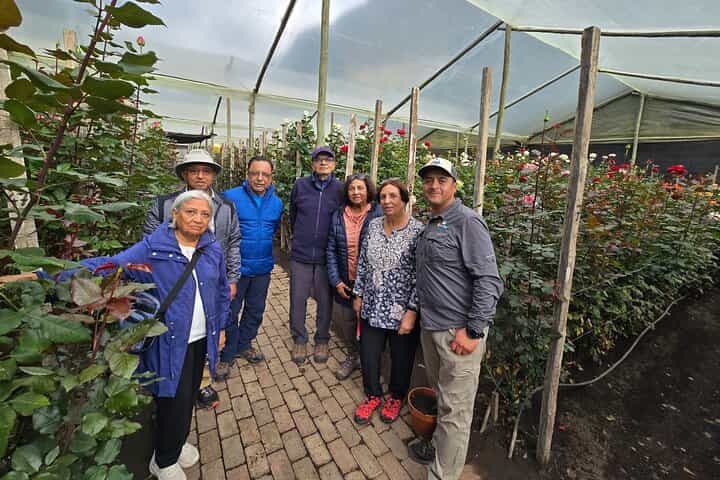 Full-Day Private Tour Papallacta Hot Springs and Roses Farm