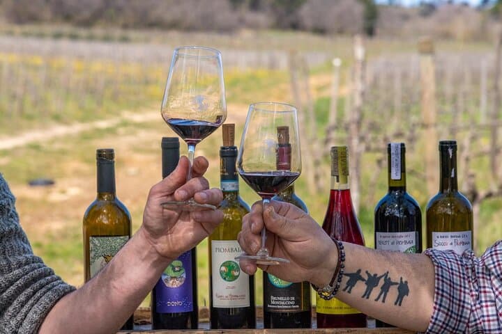 טיול יום מסן גימיניאנו, קיאנטי ומונטלצ'ינו מסיינה