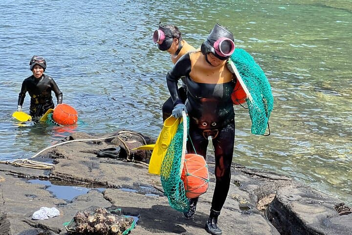 אי ג'ג'ו: סיור מיניבוס עם מדריך שאוהב את ג'ג'ו יותר מכל